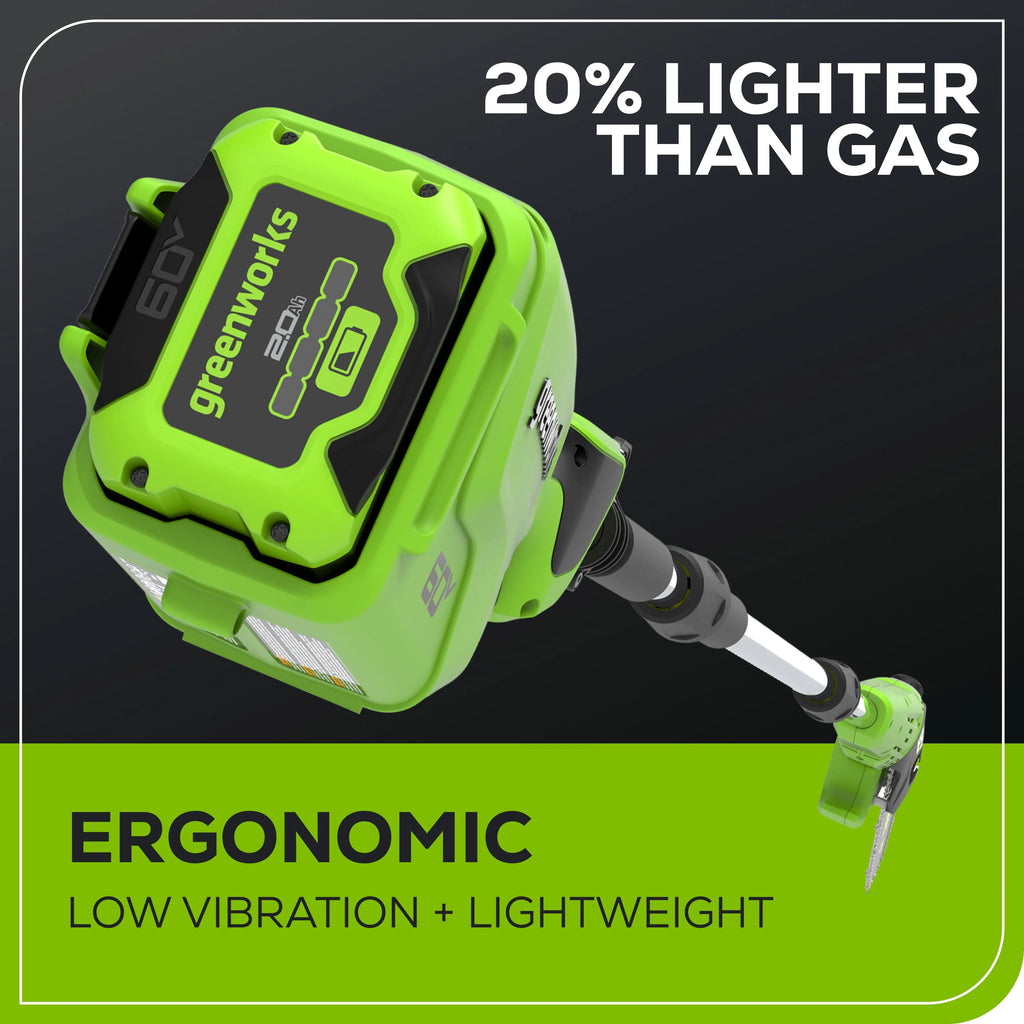 60V 10 Pole Saw with 2.0 Ah Battery & 3 Amp Charger V541