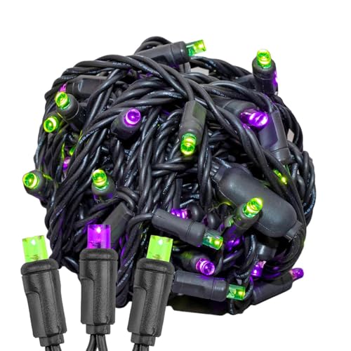 50 LED Purple/Lime Green String Lights on Black Wire W2884
