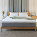 Queen 10 inch Memory Foam Mattress N97589