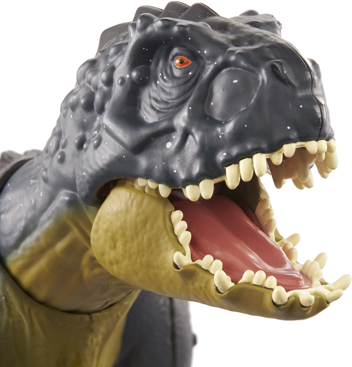 Dino G293674