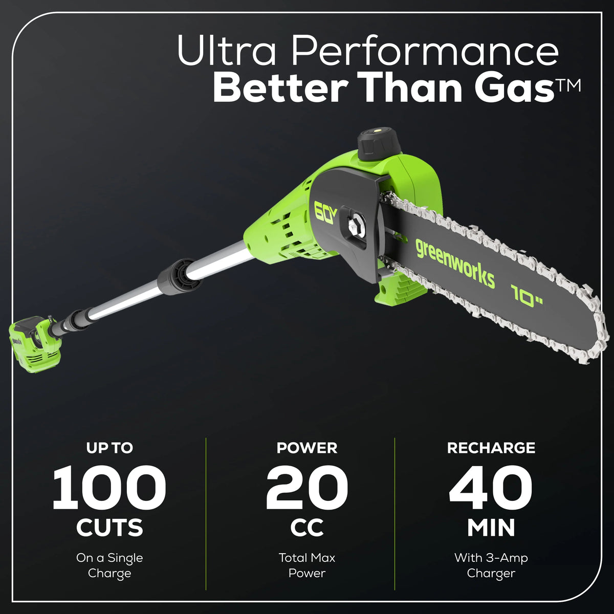 60V 10 Pole Saw with 2.0 Ah Battery & 3 Amp Charger V541